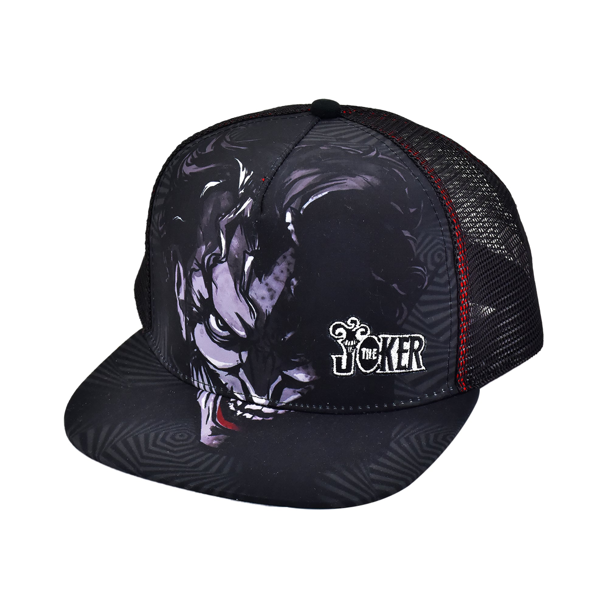Looney Tunes Daffy Duck “You’re Despicable” Dad Cap Adjustable Hat – DCMH0021AZ-001