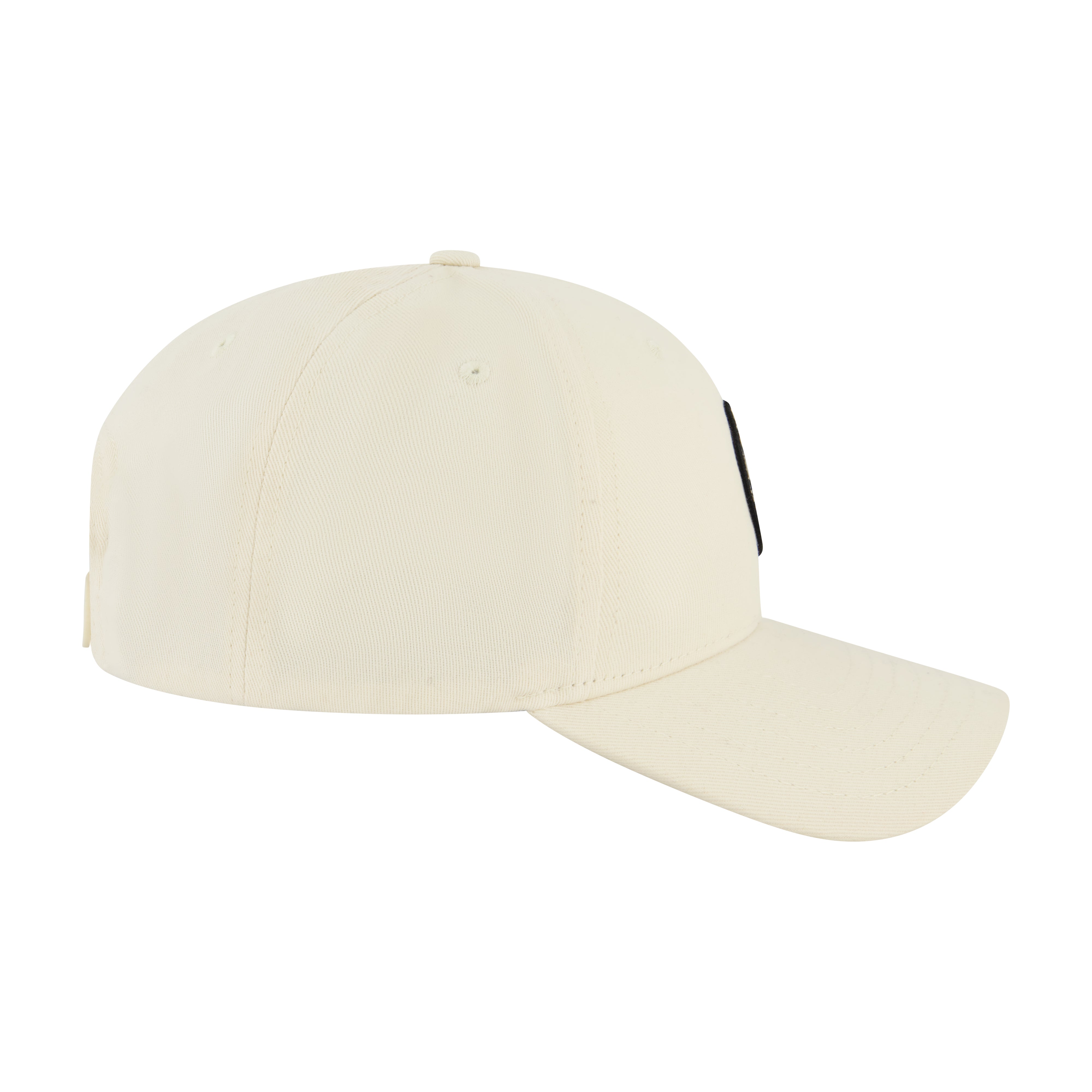 Element Tree Logo 2.0 Snapback Cap