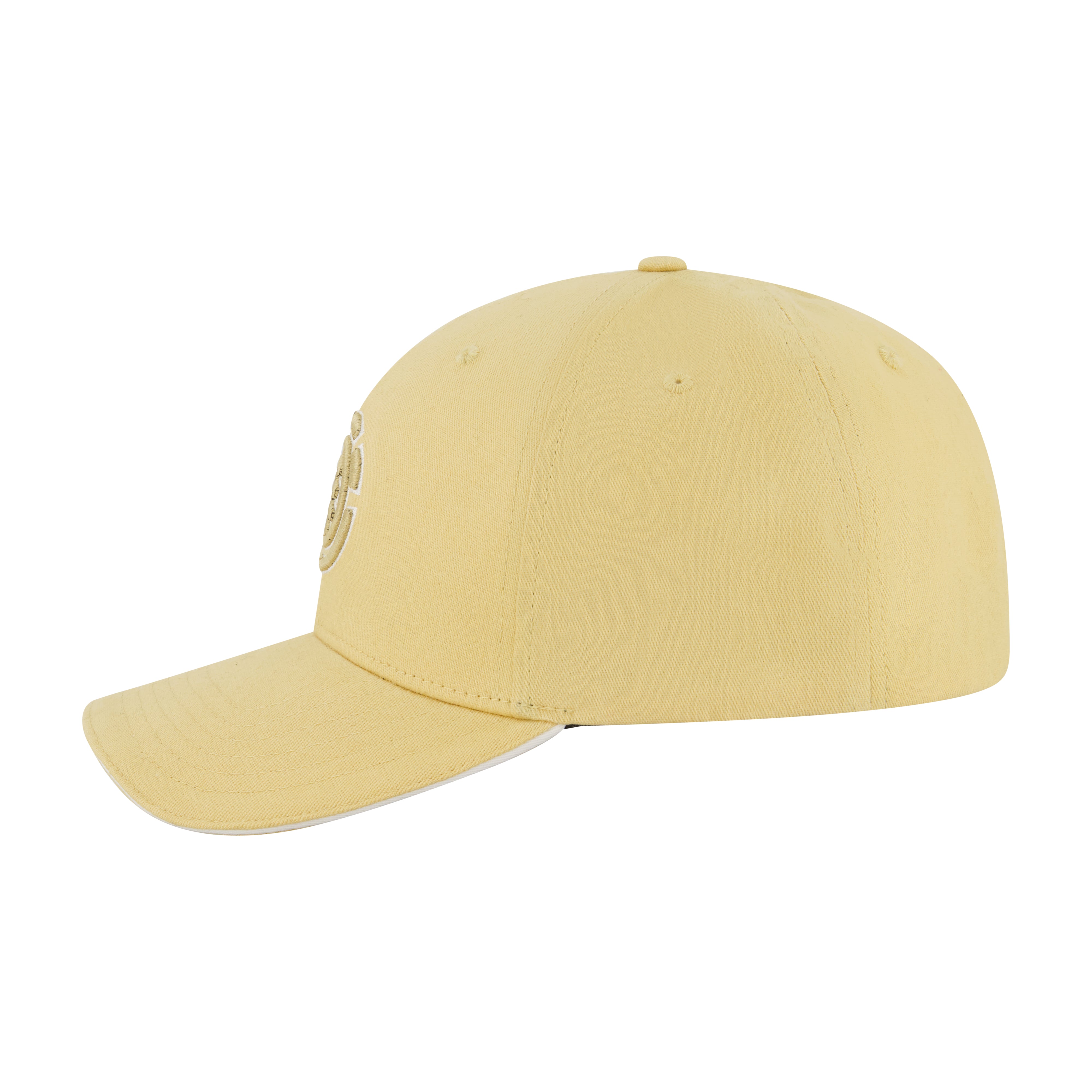 Element Stretch Fit 6-Panel Cap with Curved Visor