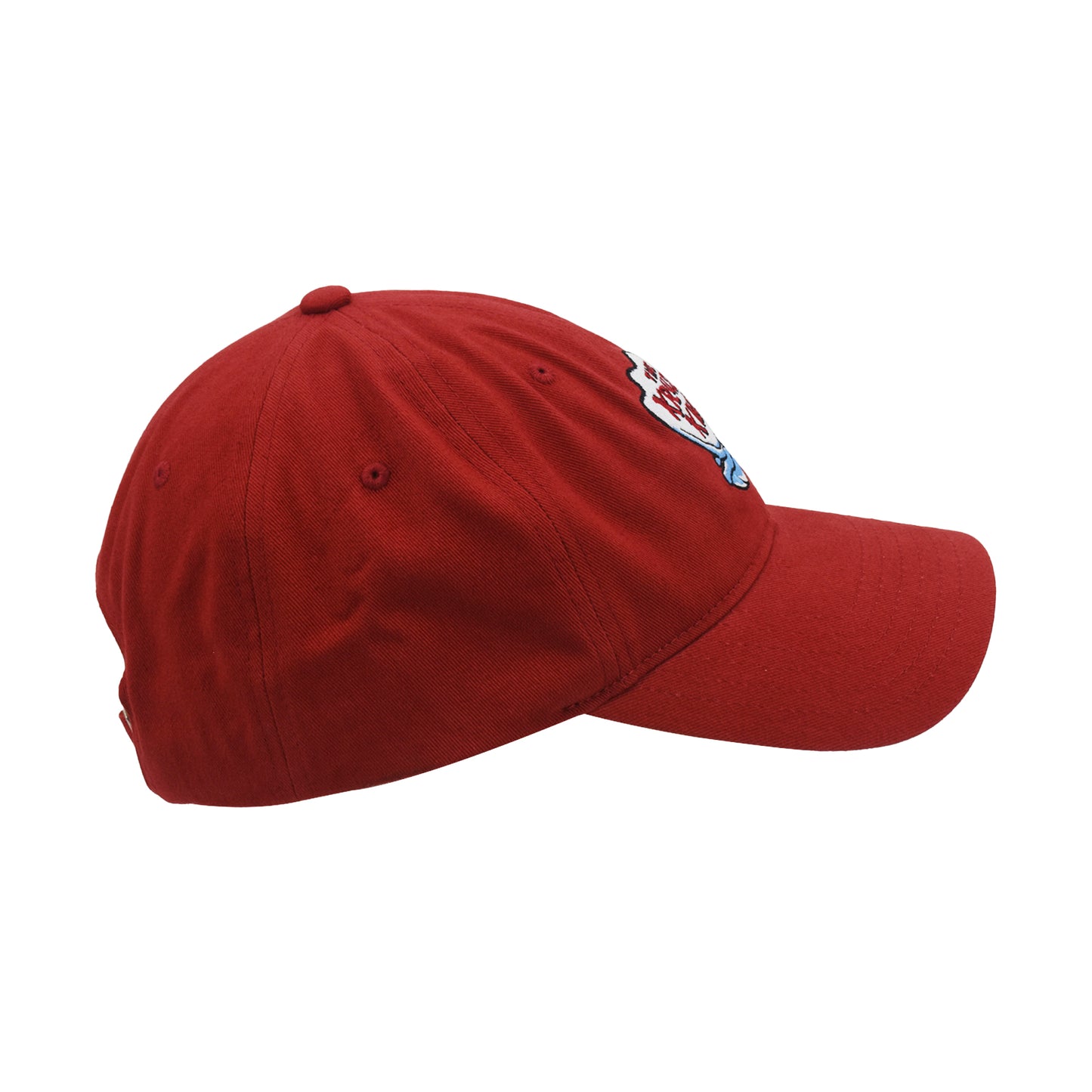 Spongebob Squarepants Dad Hat, Cotton Adult Baseball Cap with Curved Brim