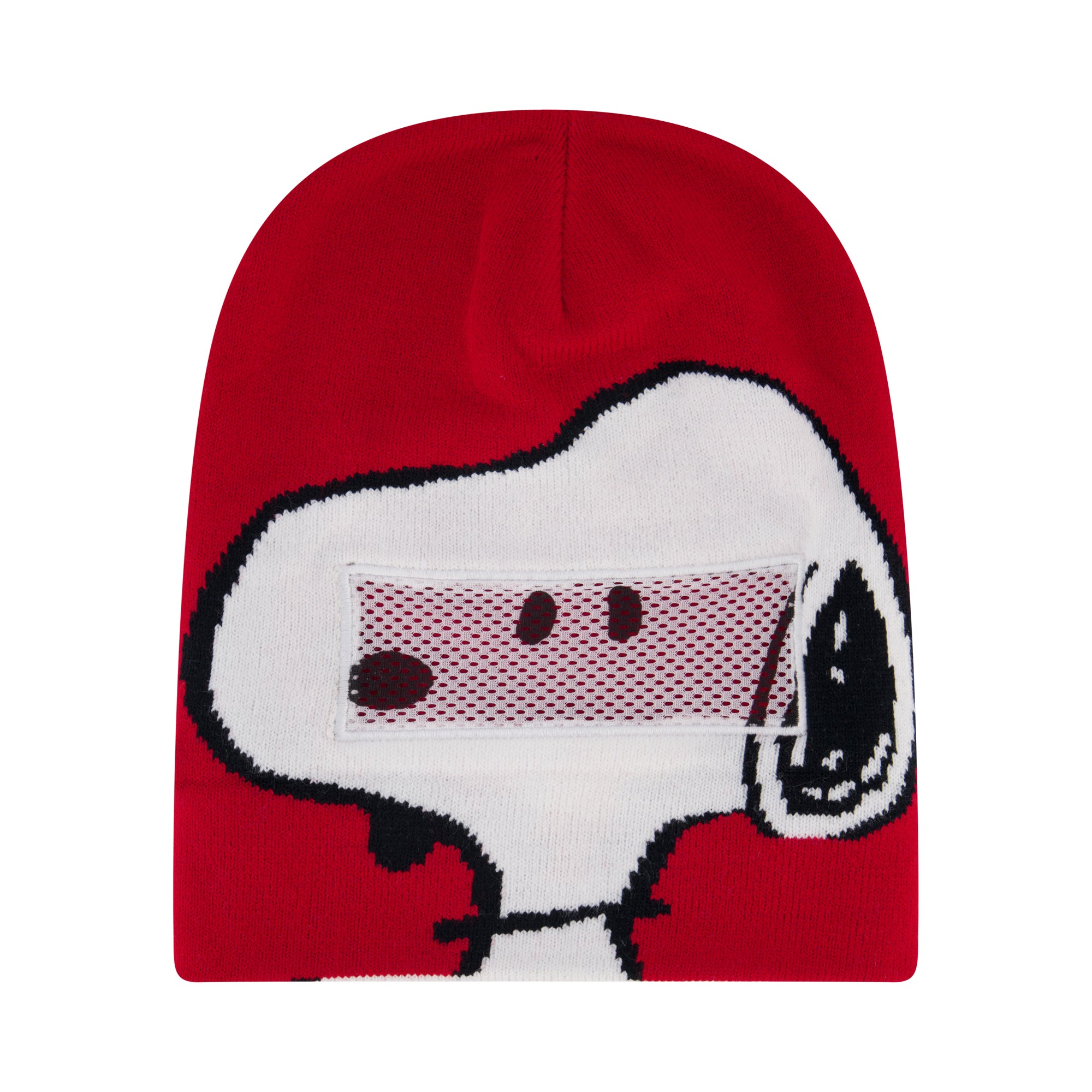 Peanuts Snoopy Beanie Hat, Knit Roll Down Cuffed Winter Cap