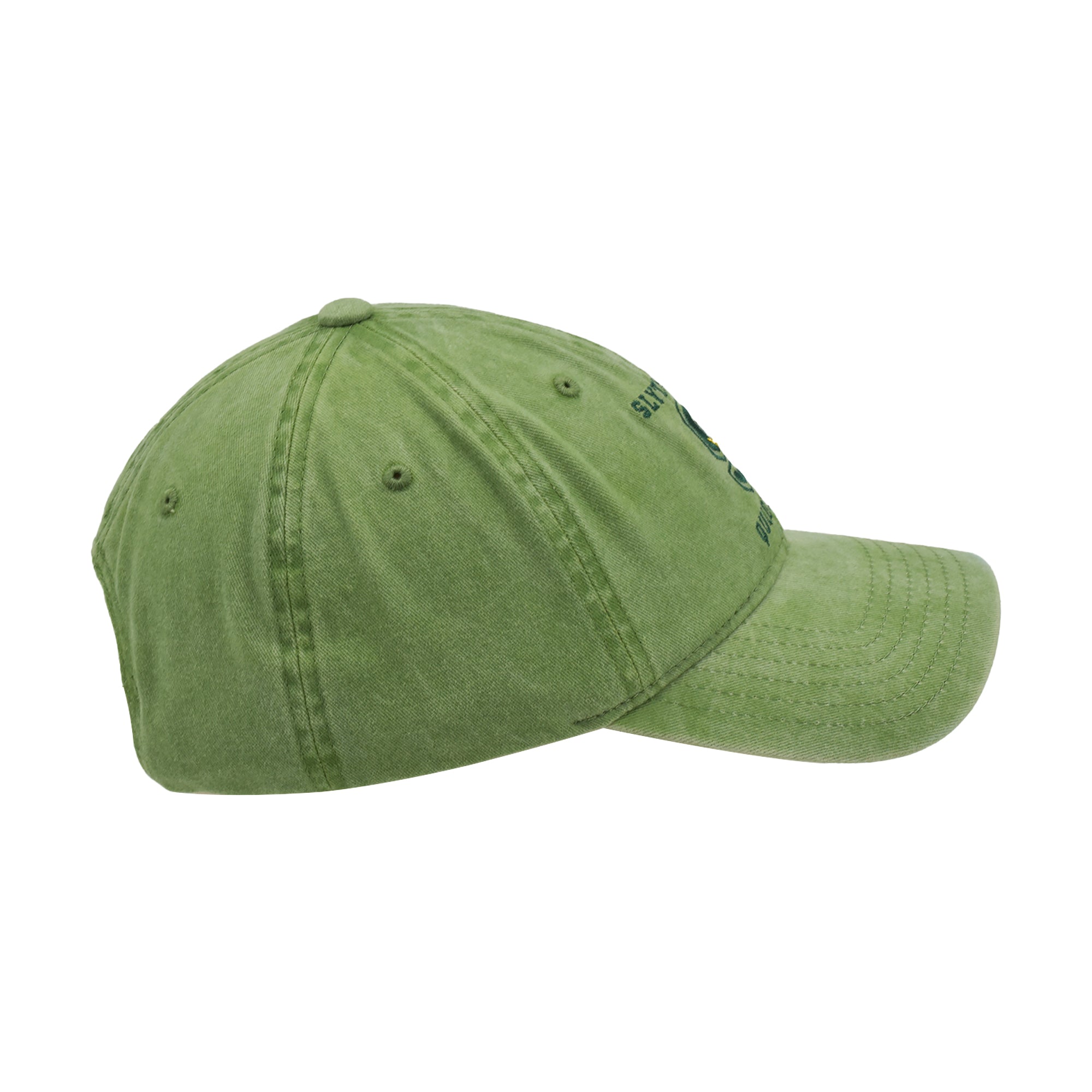 Harry Potter Slytherin Quidditch Dad Hat – Adjustable Curved Brim Baseball Cap