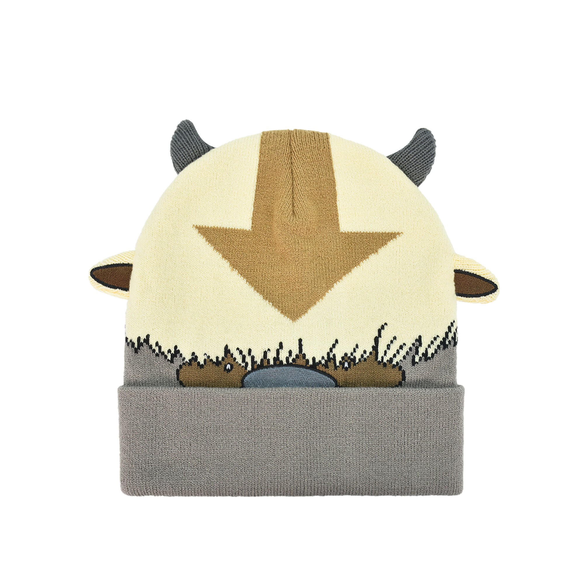 Avatar The Last Airbender Knitted Winter with Cuff Beanie Hat, Multi, One Size