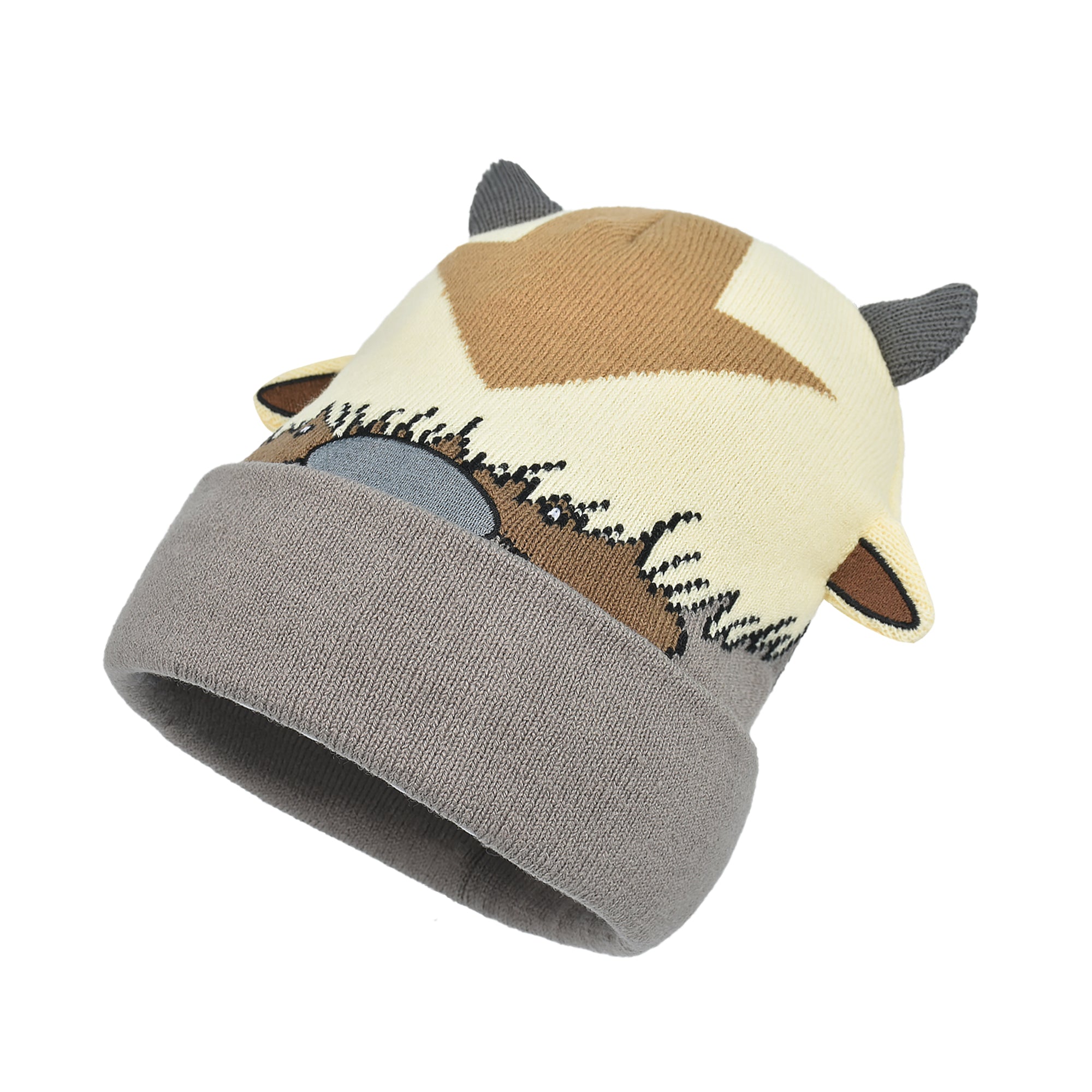 Avatar The Last Airbender Knitted Winter with Cuff Beanie Hat, Multi, One Size