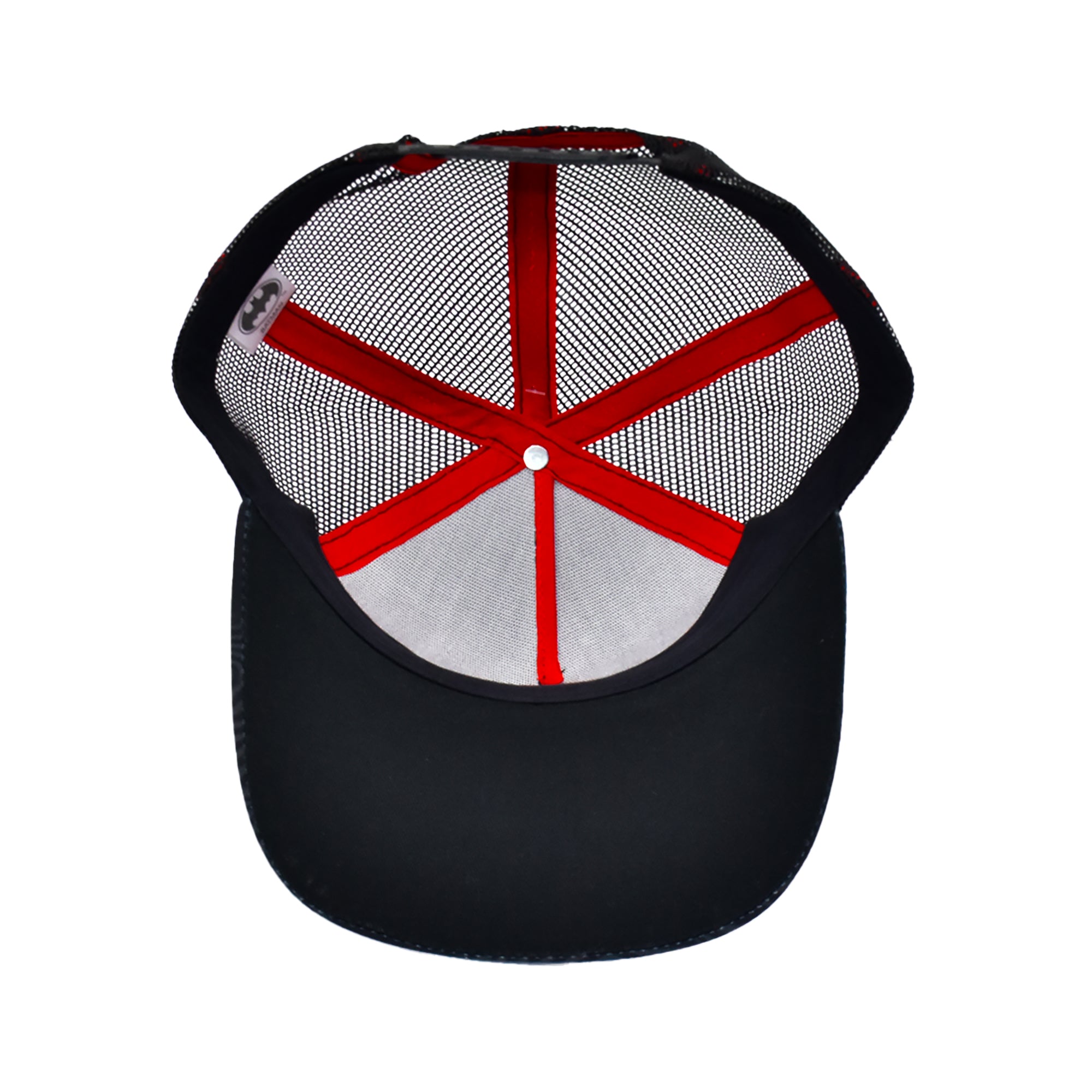 Looney Tunes Daffy Duck “You’re Despicable” Dad Cap Adjustable Hat – DCMH0021AZ-001