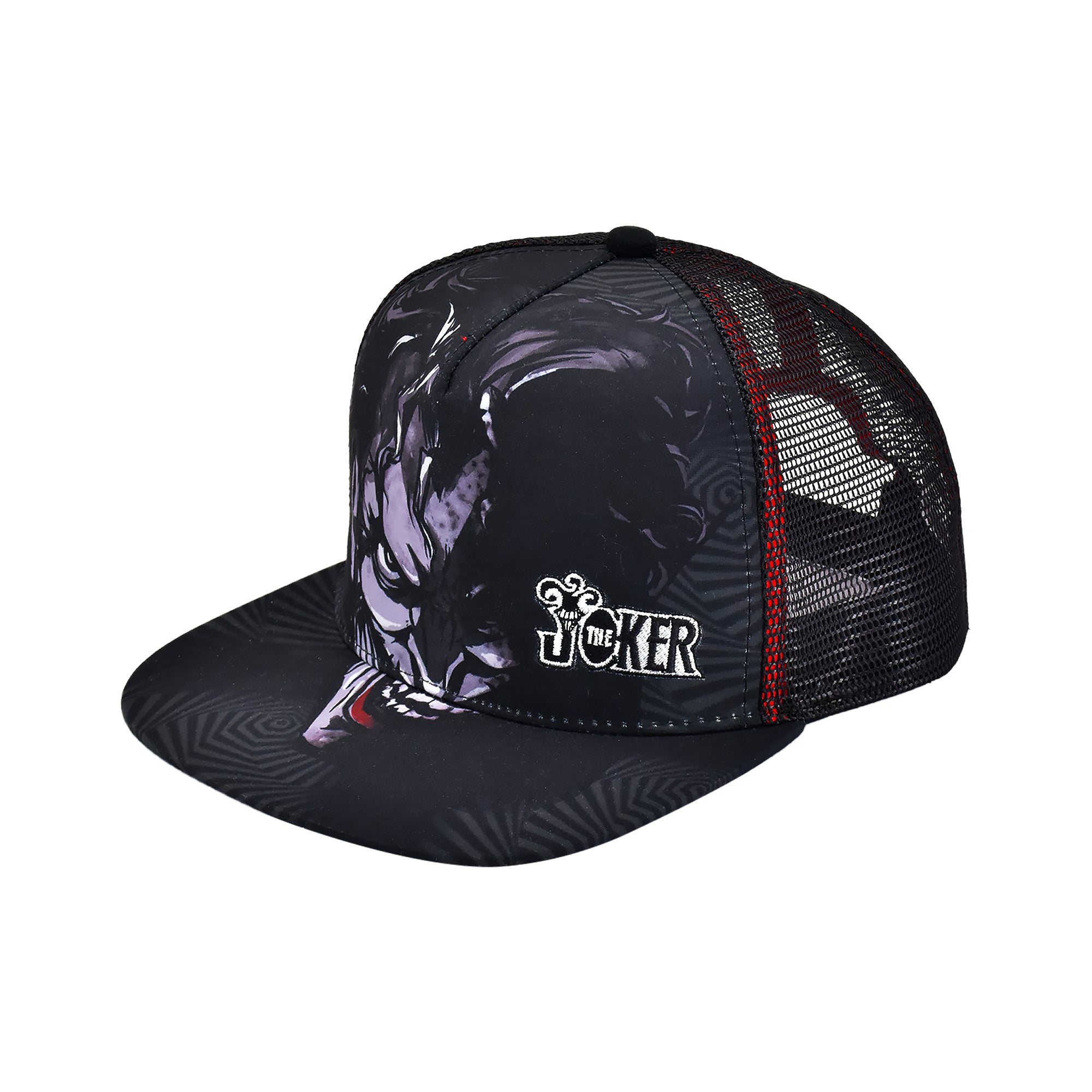 Looney Tunes Daffy Duck “You’re Despicable” Dad Cap Adjustable Hat – DCMH0021AZ-001