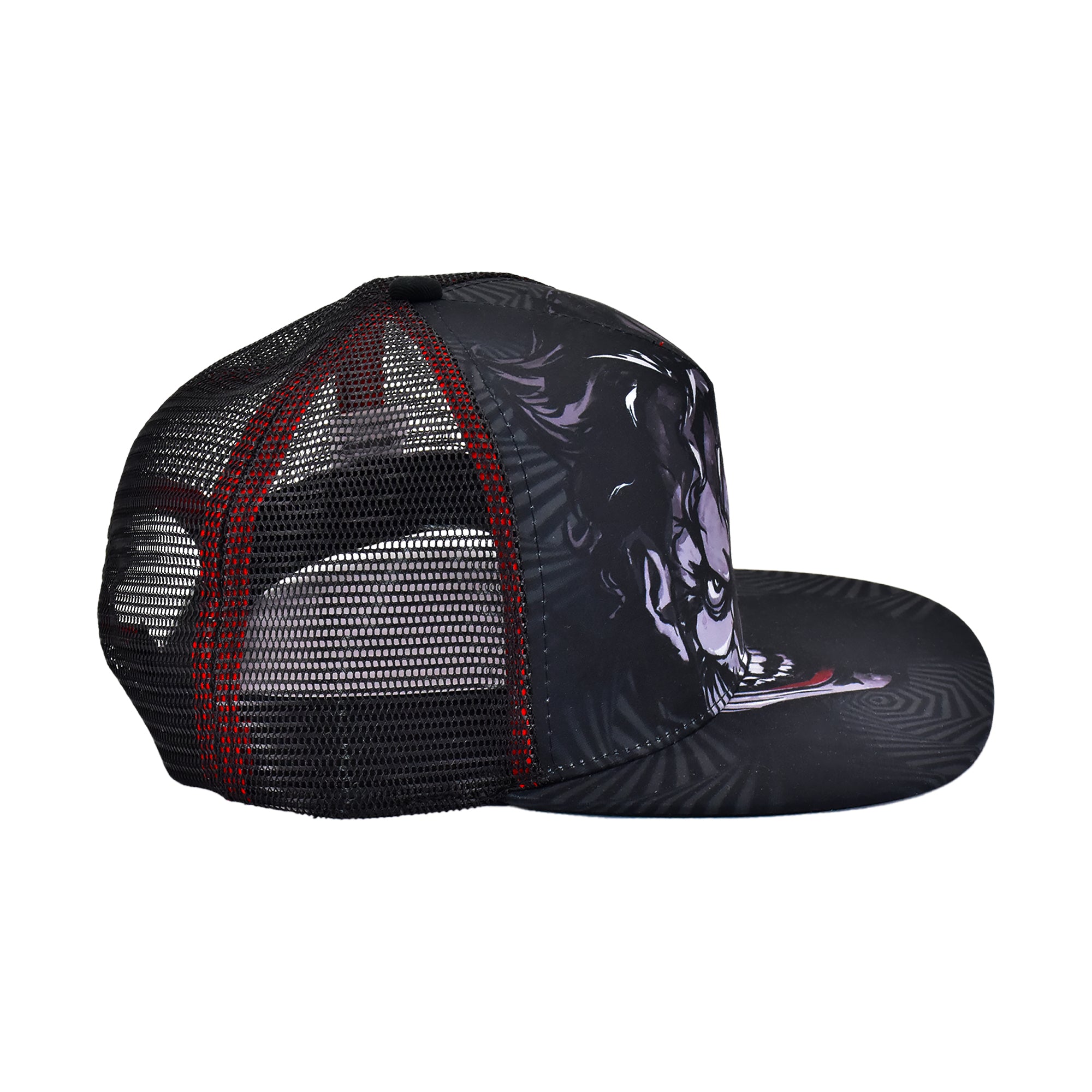 Looney Tunes Daffy Duck “You’re Despicable” Dad Cap Adjustable Hat – DCMH0021AZ-001