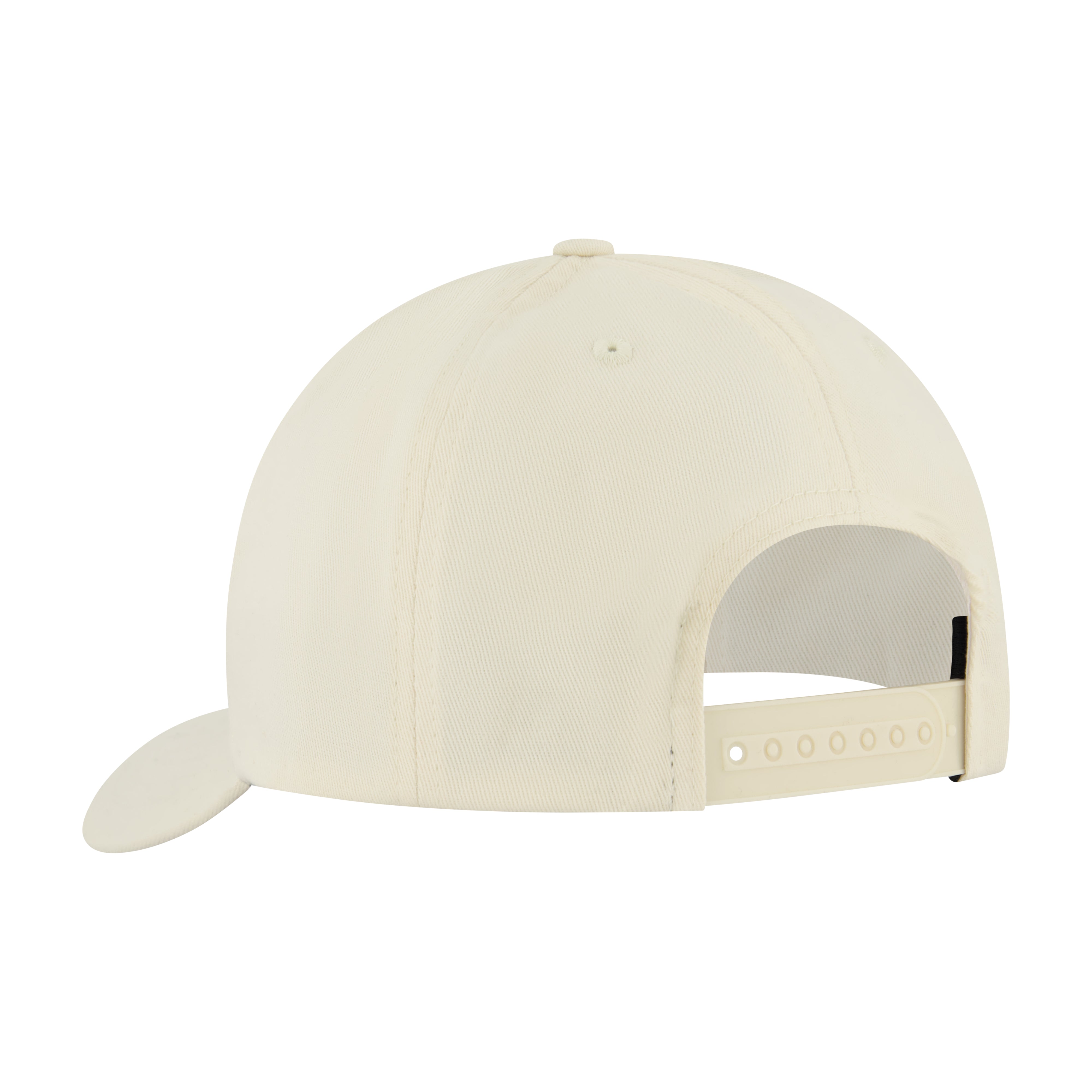 Element Tree Logo 2.0 Snapback Cap