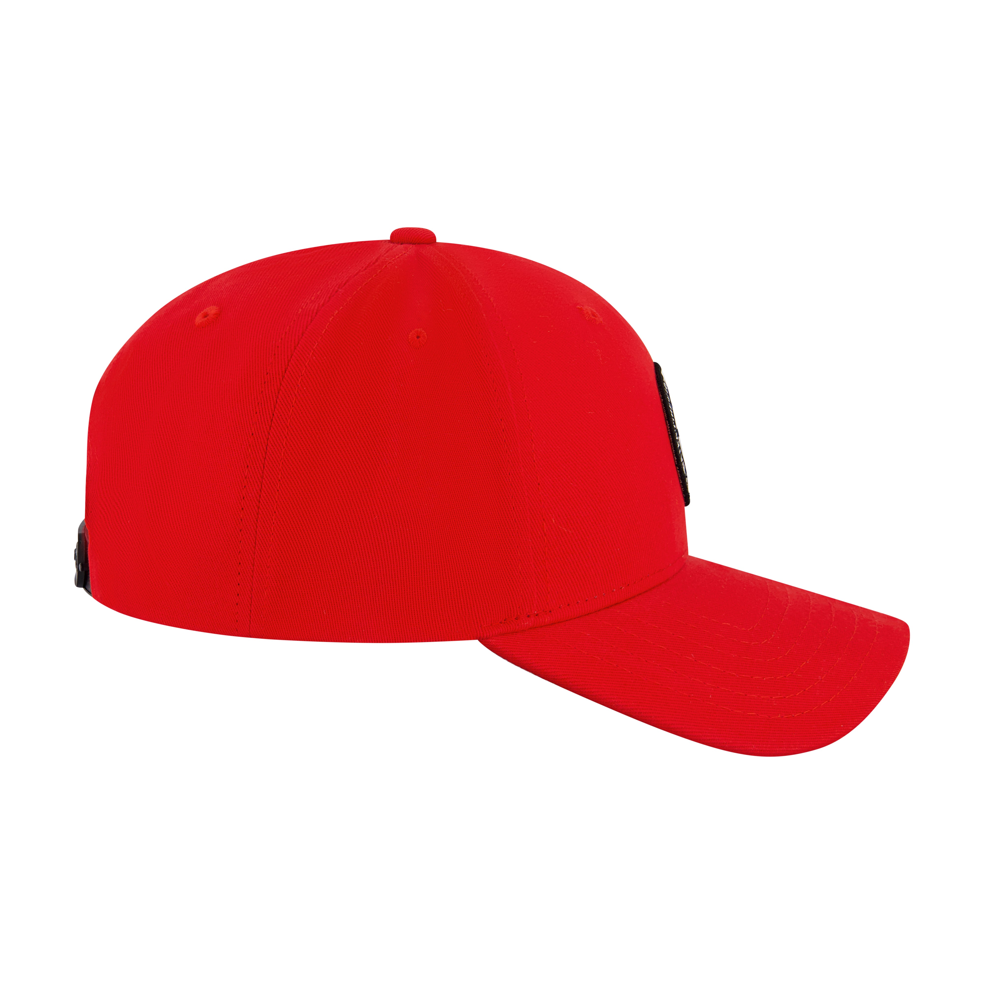 Element Tree Logo 2.0 Snapback Cap