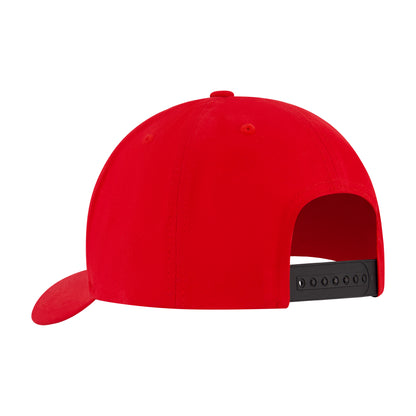 Element Tree Logo 2.0 Snapback Cap