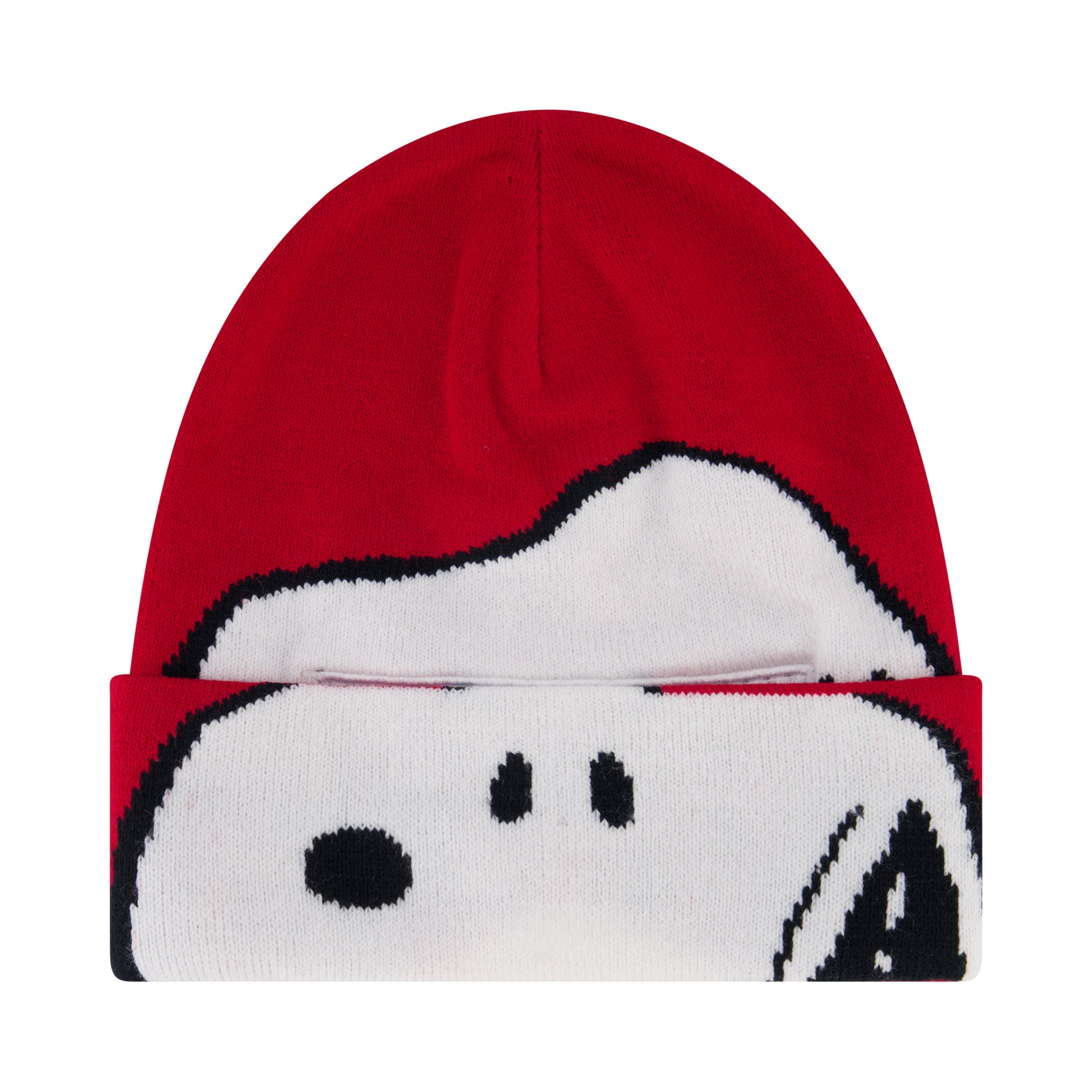 Peanuts Snoopy Beanie Hat, Knit Roll Down Cuffed Winter Cap