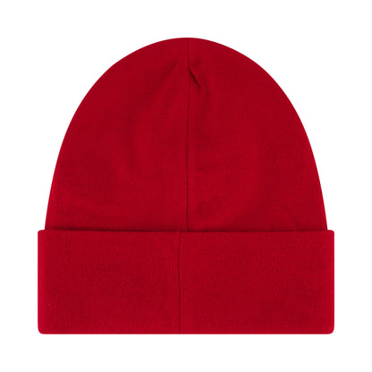 Peanuts Snoopy Beanie Hat, Knit Roll Down Cuffed Winter Cap