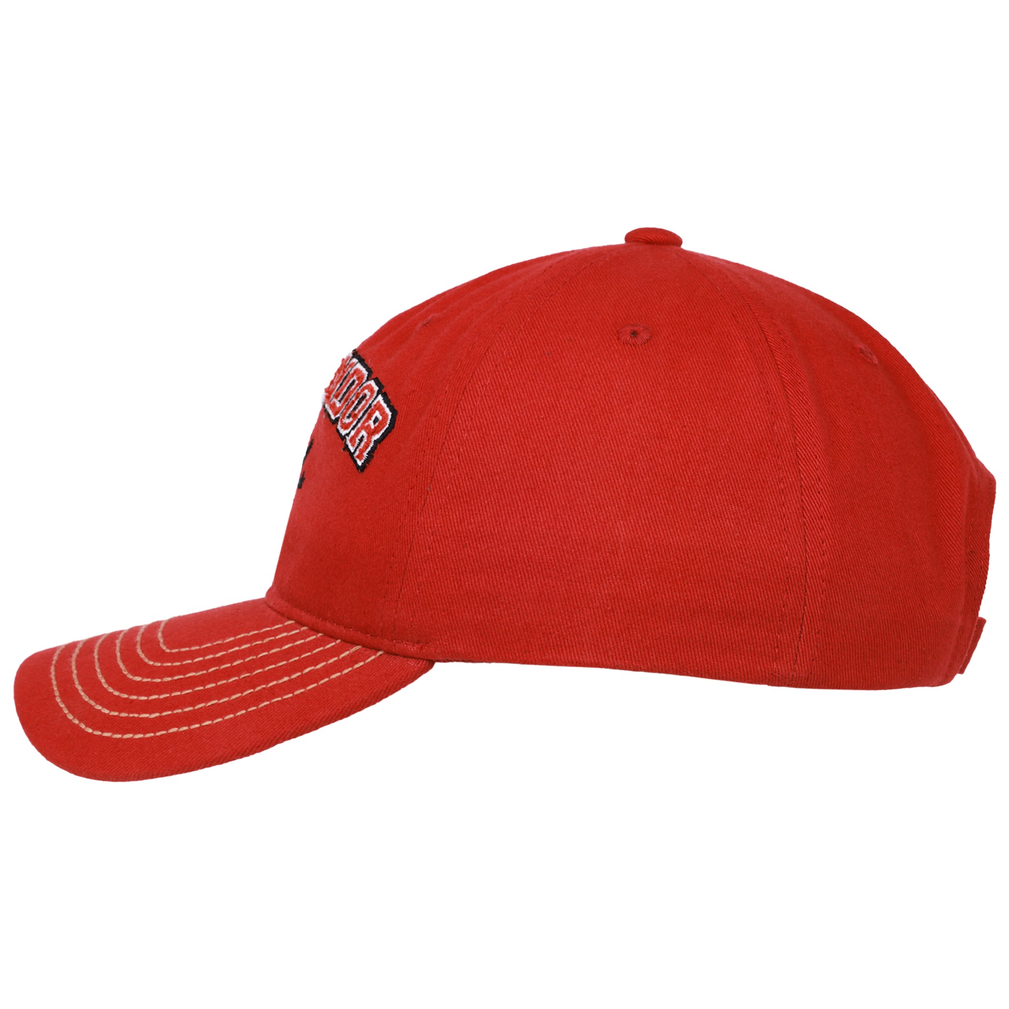 Title: Gryffindor Embroidered Dad Cap – Harry Potter Adjustable Curved Brim Hat, Officially Licensed