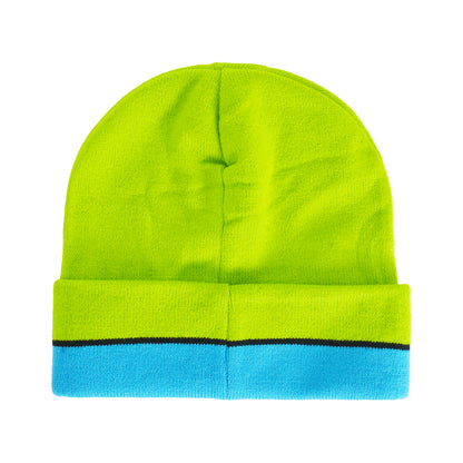 Teenage Mutant Ninja Turtles Beanie Hat, TMNT Leonardo Kids Roll Down Cuff Winter Knit Cap, Green, One Size