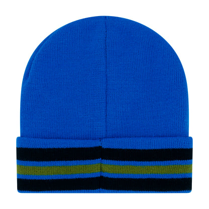 Concept One boys Teenage Mutant Ninja Turtles Beanie Hat and Gloves Set, Tmnt Kids Cuff Winter Knit Cap and MittensBeanie Hat